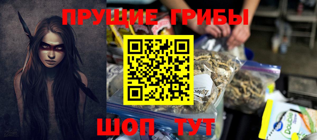Галлюциногенные грибы Psilocybe  Вход с VPN  Бахчисарай 