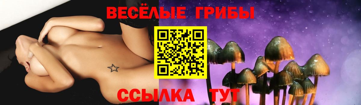 Галлюциногенные грибы мицелий Бахчисарай